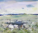 Wynona Croft Mulcaster, Mudhole, 1994, acrylic on canvas