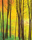 Keith Thomson, October View, oil on canvas
