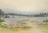 Frederick Arthur Verner, Heather Scene, 1917, watercolour on paper