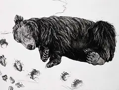 Maureen Enns, Last Glimpse, 2014, charcoal on paper