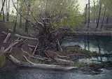 Chris S. Flodberg, Deadwood Fish Creek