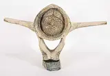 Josephie Kokseak, Untitled - Two Faces, bone carving