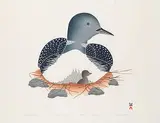 Kavavaow Mannomee, Sheltered Nesting #30/50, 1992, colour stonecut and stencil on paper