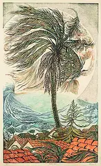 Richard Calver, Bondi Palm #12/25, 1997, colour lino block on paper