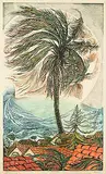 Richard Calver, Bondi Palm #12/25