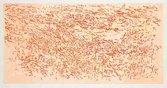 Barbara Ann Kipling, Sky + Mountains - Falkland #AP2, 1999, colour etching on paper