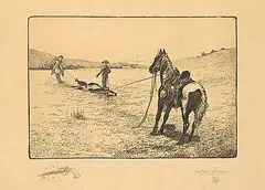 John Innes, Untitled - Roped Cow, 1900, etching on paper