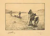 John Innes, Untitled - Roped Cow, 1900, etching on paper