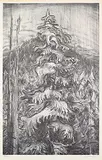 Jack Shadbolt, The Hornby Suite [Homage to Emily Carr] #14 #80/150, offset lithograph on paper
