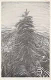 Jack Shadbolt, The Hornby Suite [Homage to Emily Carr] #15 #80/150, offset lithograph on paper