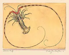Charles van Sandwyk, Untitled - Lobster #Artist's Proof, colour etchings on paper