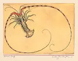 Charles van Sandwyk, Untitled - Lobster #Artist's Proof, colour etchings on paper