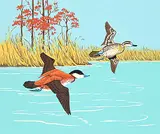 A. J. Casson, Untitled - Ducks in Flight, colour silkscreen on paper