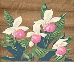 A. J. Casson, Untitled - Wild Orchids, colour silkscreen on wood veneer