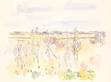 Reta Madeline Cowley, Untitled - Prairie Flora, 1978, watercolour on paper