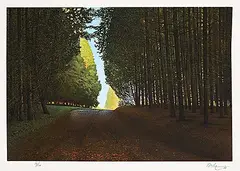 Ken Danby, Cedar Break #82/100, 1979, colour silkscreen on paper