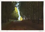 Ken Danby, Cedar Break #82/100, 1979, colour silkscreen on paper