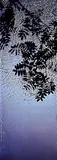 Susan Derges, River Pow-Rowan #42/100
