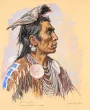 Douglas Allan Fales, Medicine Crow, 1990, pastel on paper