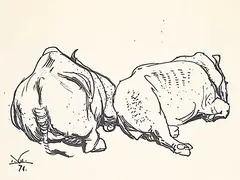 Untitled - Resting Rhinos by Illingworth Kerr, 1974, ink on paper, sold Dec 2024