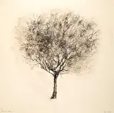 Sylvia Safdie, Tree Series No. IX, No 1, 2003, mixed media on vellum