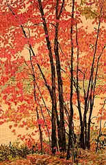Herbert Otto Sellin, Parry Sound #7, 1982, oil on wood board