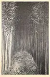 Jack Shadbolt, The Hornby Suite [Homage to Emily Carr] #3 #80/150, 1971, lithograph on paper
