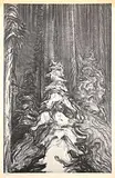 Jack Shadbolt, The Hornby Suite [Homage to Emily Carr] #5 #80/150, 1971, lithograph on paper