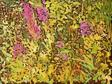 Lawrence Washburn, Summer Garden, 1981, oil on wood board