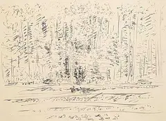 Dorothy Knowles, Untitled - Edge of the Forest, 1978, charcoal on paper