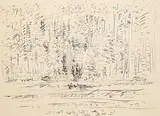 Dorothy Knowles, Untitled - Edge of the Forest, 1978, charcoal on paper