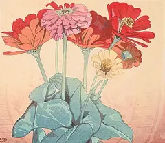Walter J. Phillips, Zinnias #46/100, 1928, colour wood block on paper