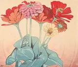 Walter J. Phillips, Zinnias #46/100, 1928, colour wood block on paper