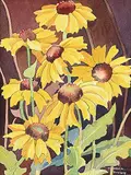 Annora Brown, Untitled - Black-Eyed Susans
