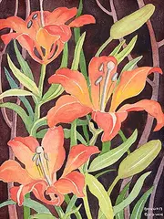 Annora Brown, Untitled - Tiger Lilies, watercolour on paper