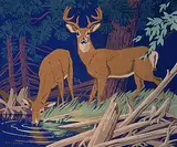 A. J. Casson, Untitled - Drinking Deer, colour silkscreen on paper