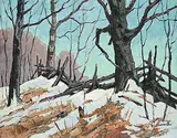 Robert Lee Chadwick, By the Beech Woods, Gormley, oil on canvas board