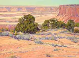 William Duma, Overlooking the Canyon [View From the Rim], acrylic on canvas