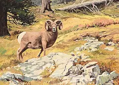 Alert by Richard Audley Freeman, oil on wood board, sold Nov 2024