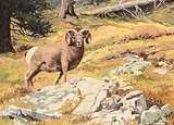 Richard Audley Freeman, Alert, oil on wood board