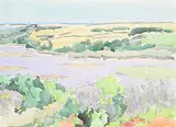 Dorothy Knowles, Grey Trees, 2003, watercolour on paper