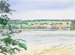 Dorothy Knowles, Dying Trees, 2003, watercolour on paper