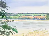 Dorothy Knowles, Dying Trees, 2003, watercolour on paper