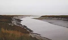 Tom Ward, Cornwallis River, 2015, watercolour on paper