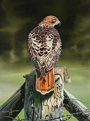 Roland Rollinmud, Untitled - Falcon with Prey, acrylic on canvas