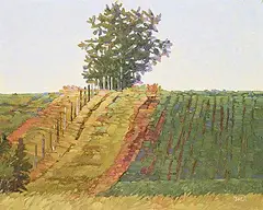 Walter Drohan, West Fence, 1985, oil on canvas
