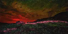 Daniel Audet, Pink Streak, 2018, oil on canvas