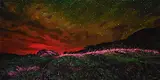 Daniel Audet, Pink Streak, 2018, oil on canvas