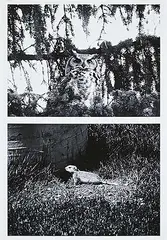 Don Gill, Study for: Social Relations #AP, 2021, chromogenic ink on matte paper