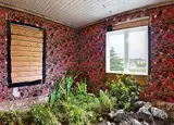 Emily Neufeld, Transplant, 2021, colour photograph